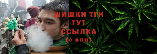 стафф Володарск