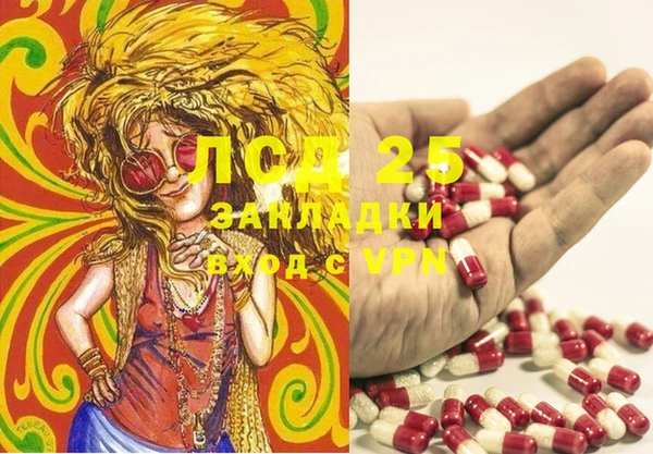 стафф Володарск