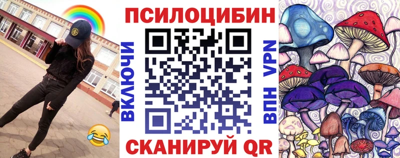 купить закладку  Моршанск  Псилоцибиновые грибы GOLDEN TEACHER 